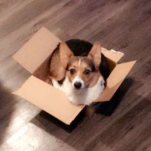 Meet your Posher, Yeng